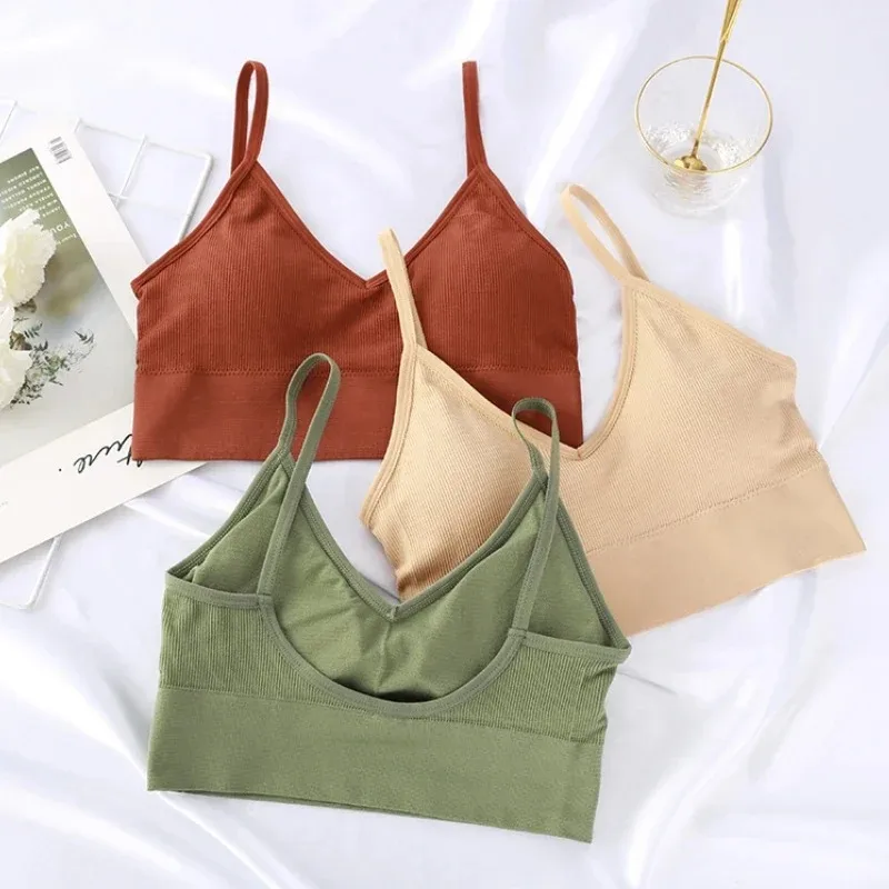 Seamless Women Push Up Bra Bea - Underwire Bra Padded บทวิจารณ์และราคา