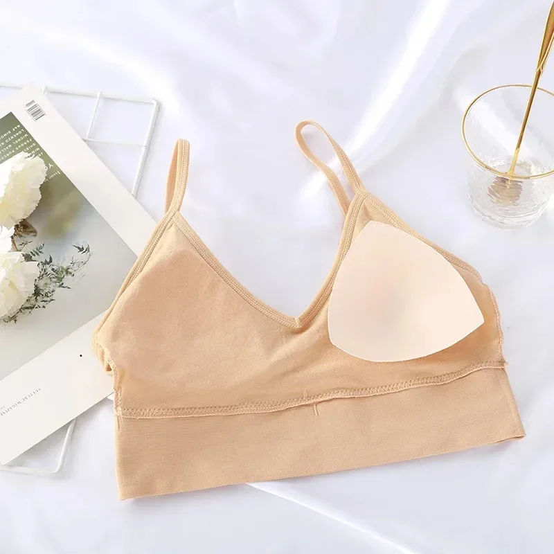 Seamless Women Push Up Bra Bea - Underwire Bra Padded บทวิจารณ์และราคา